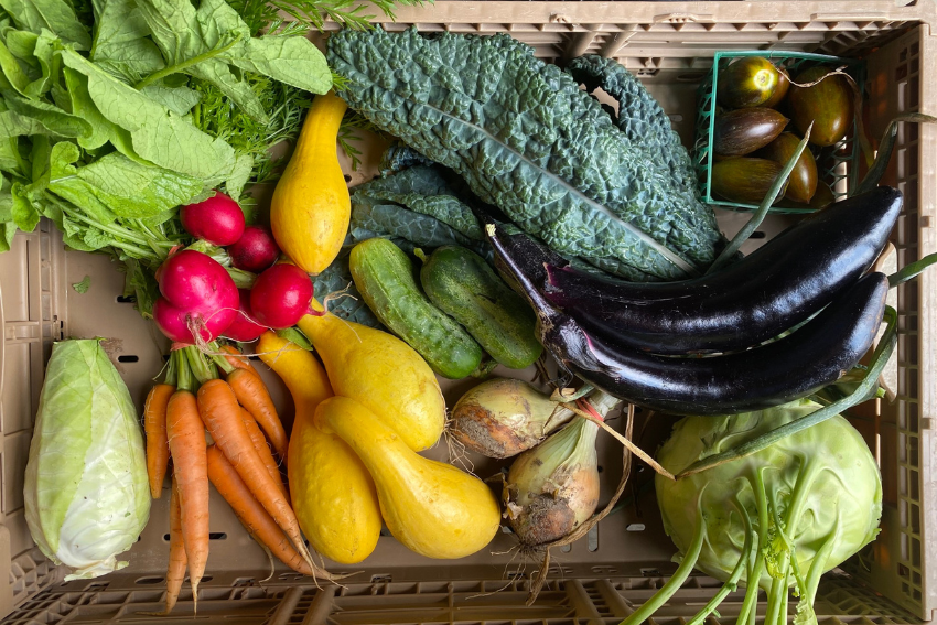 15 CSA Programs to Sign Up for in the Ann Arbor Area